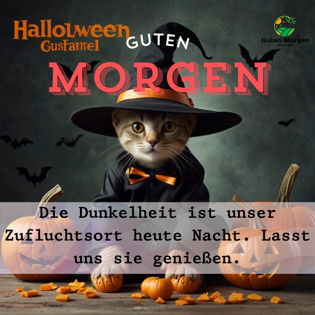 guten morgen bilder halloween 27