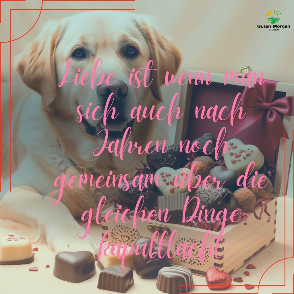 lustiges valentinstag bilder 10
