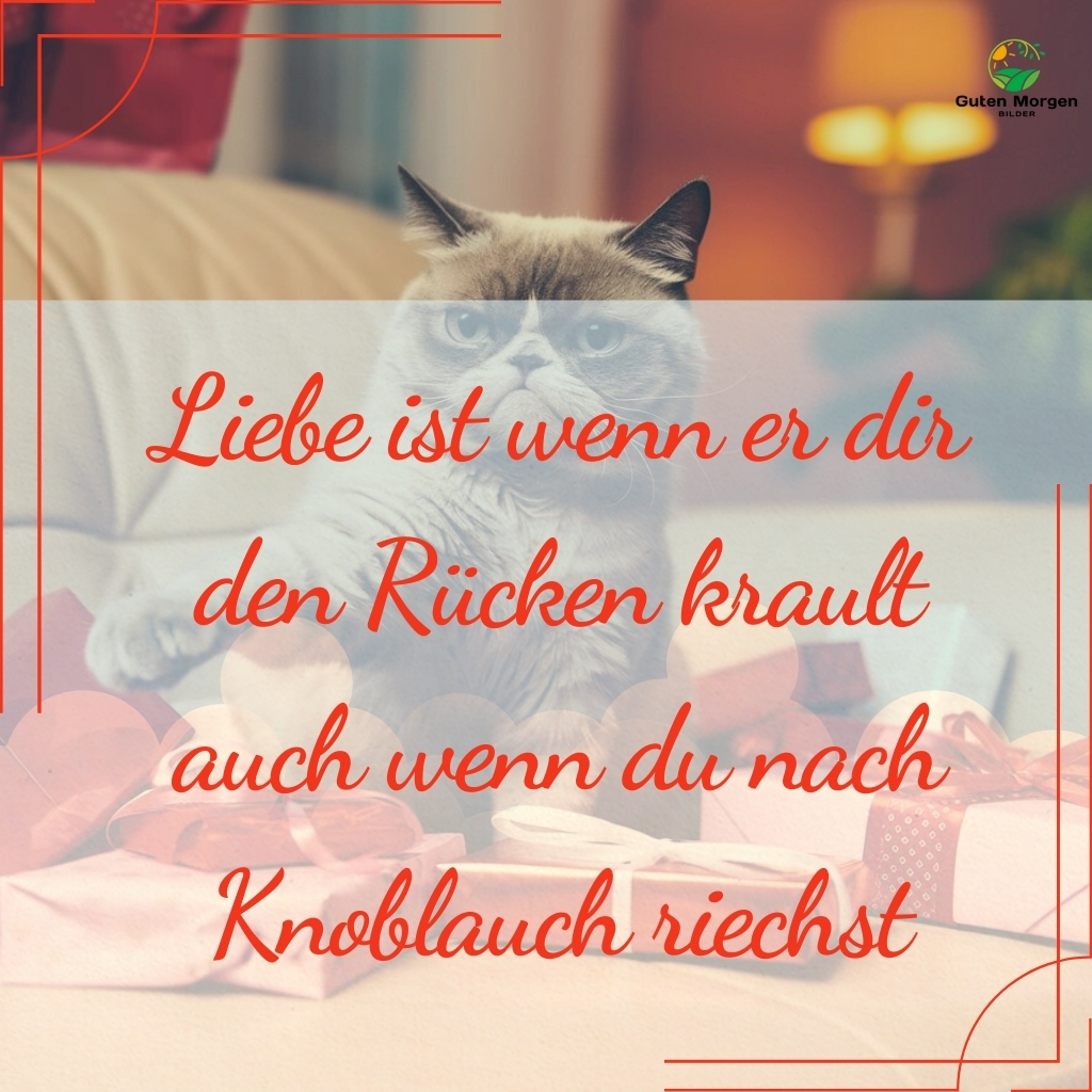 lustiges valentinstag bilder 25