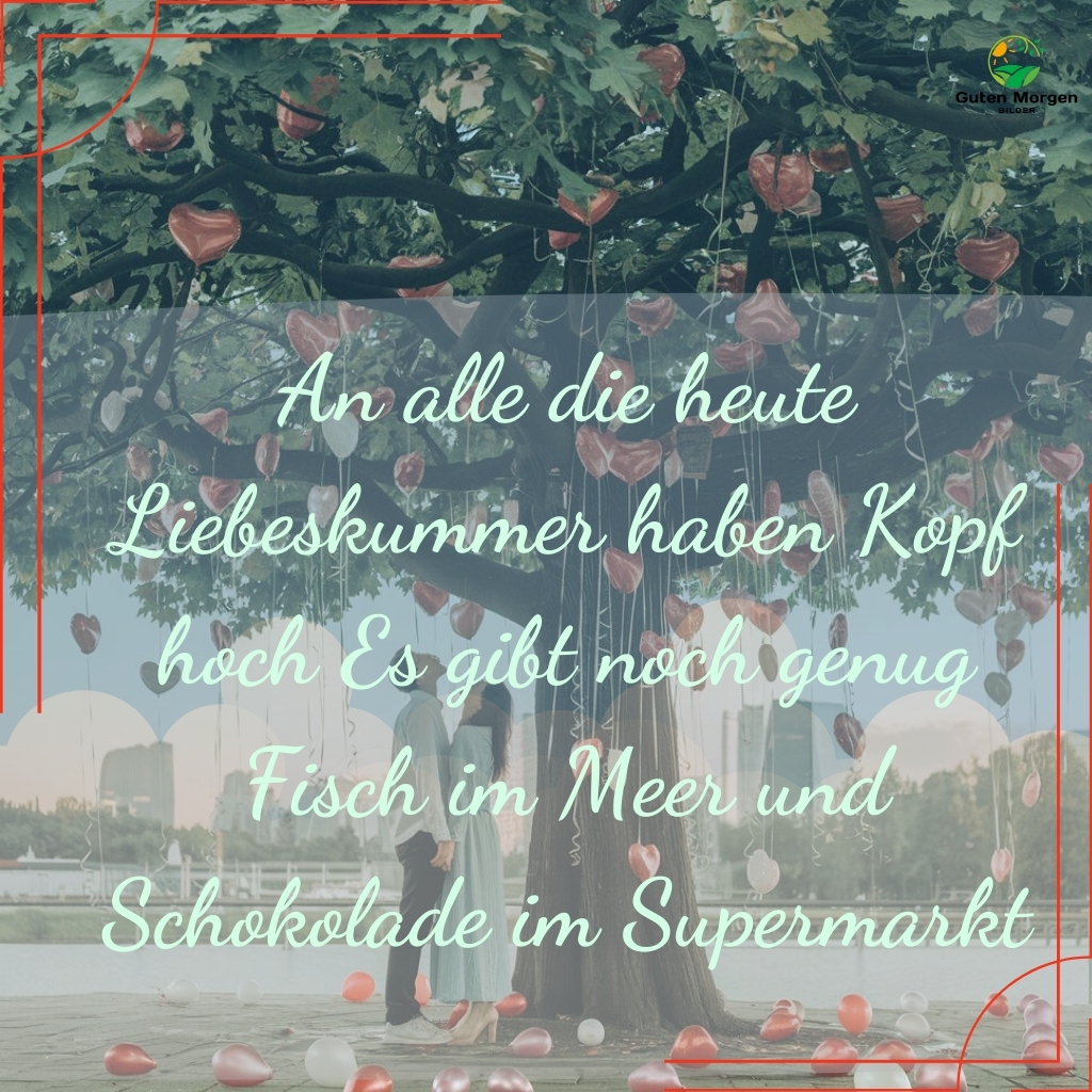 lustiges valentinstag bilder 28