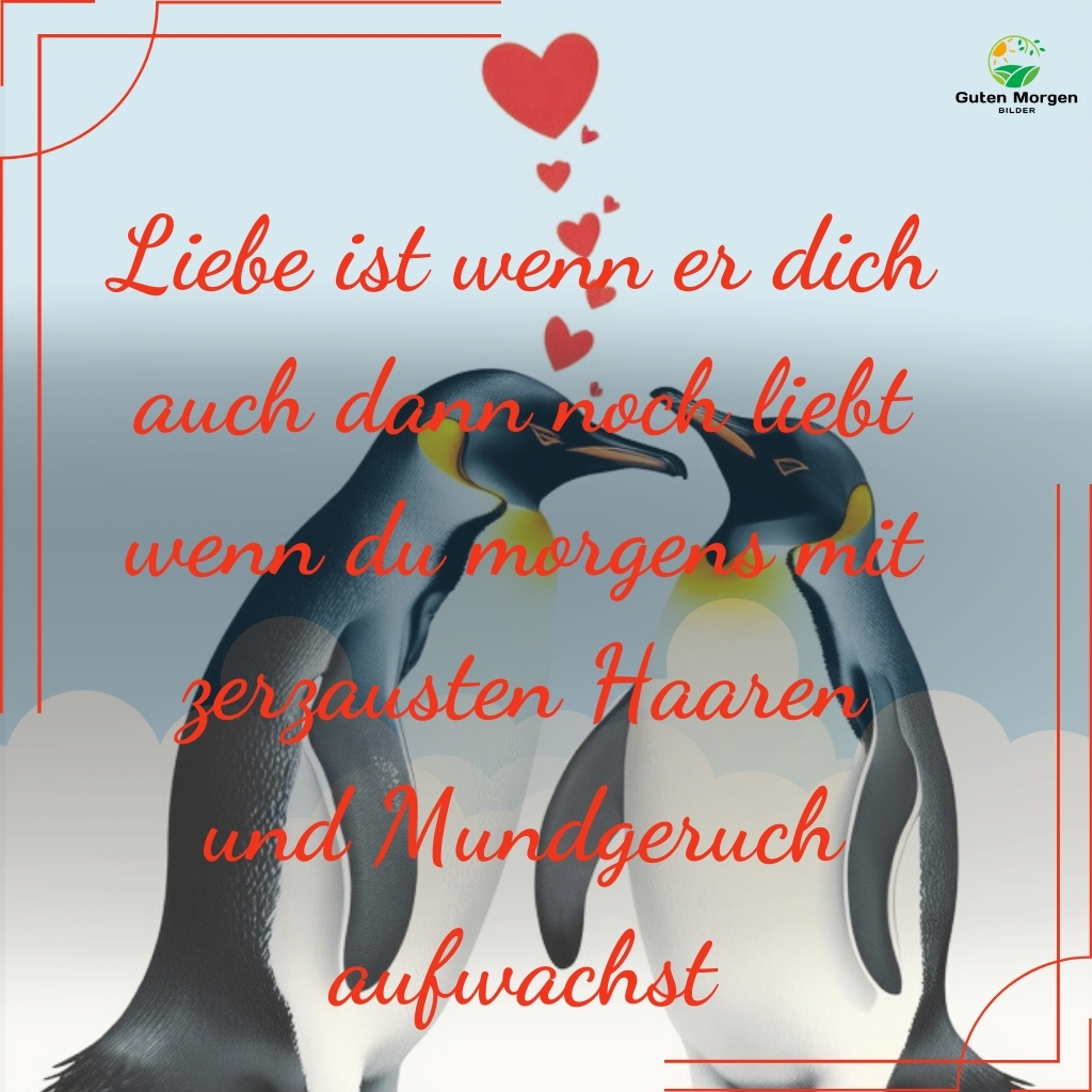 lustiges valentinstag bilder 37